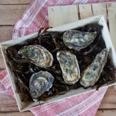 Flaggy shore oysters