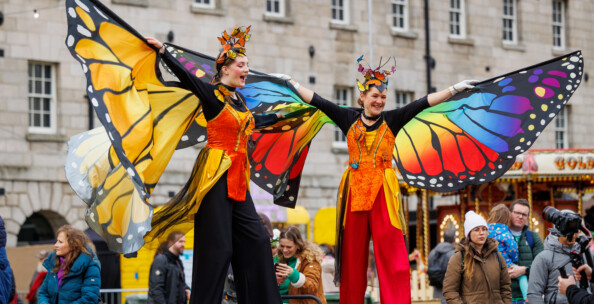 24 DV Butterflies FQ