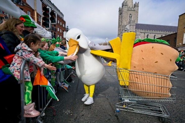 24 BM Seagulls Crowd Christchurch