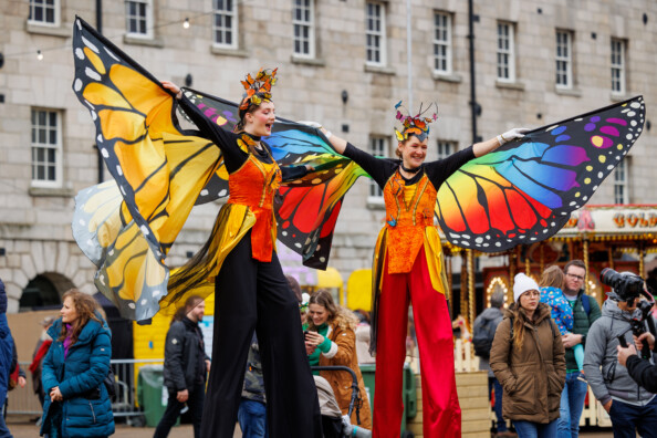 24 DV Butterflies FQ