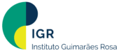 IGR logo rtical colorida