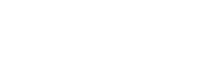 Failte Ireland Logo